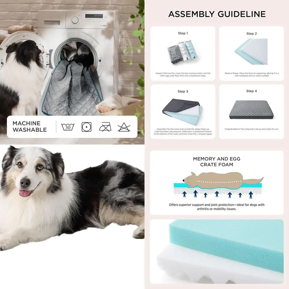 Letto per cani ortopedico extra large - Materasso in memory foam XL con rivestimento rimovibile, adatto per animali domestici fino a 100 libbre, 41x29x4 pollici,