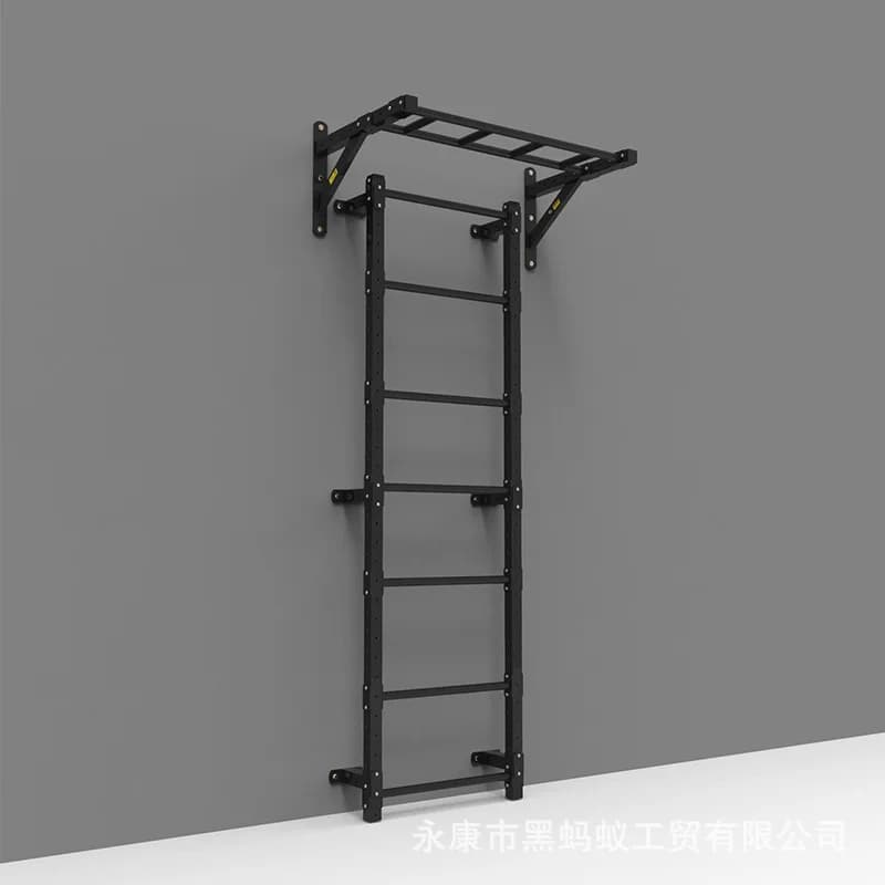 Parallel Bars for Multifunction Strength Training Traction Bar Wall Mounted Fitness Equipment Home Gym