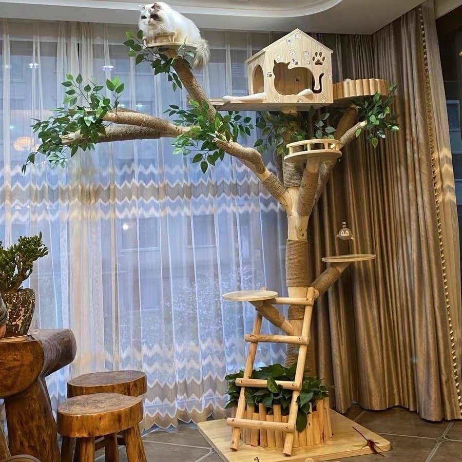 Lettiera per gatti Giocattolo per gatti integrato Tiragraffi per gatti Stuzzicare la casa sull'albero con struttura per arrampicata su gatti