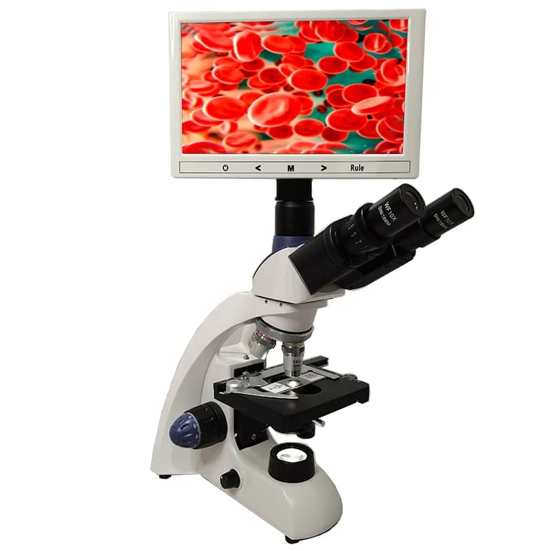 Microscopio/microscopio biologico video LCD leggero da 7 pollici Cina con schermo LCD
