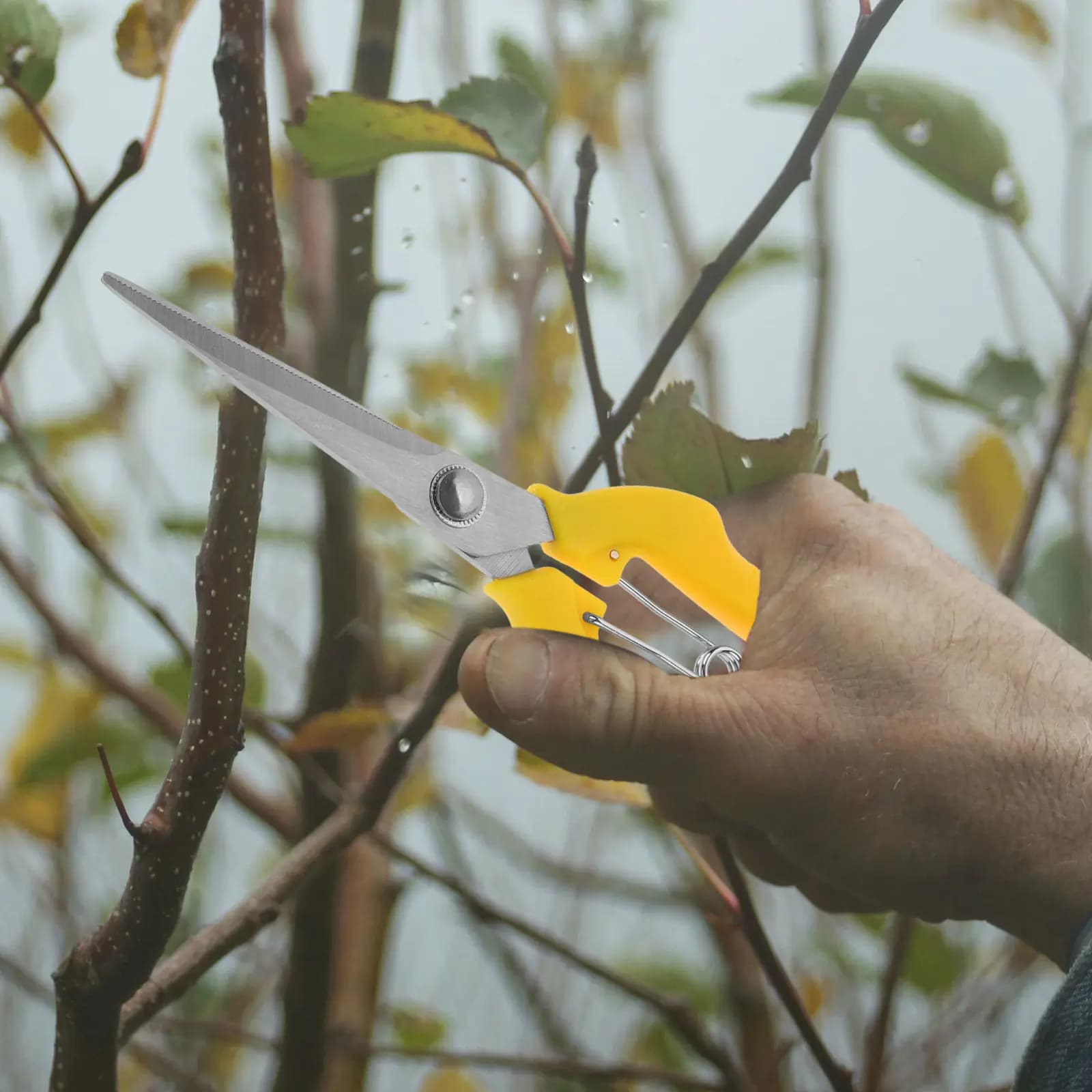 Professional Gardening Scissors in Stainless Steel, Lightweight and Potential for Potting Coppers, Hedges and Frutteti