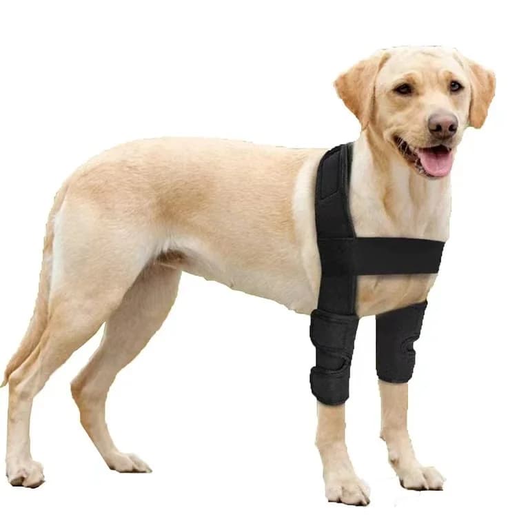 → Dog Eyebrow Lesions Leg Tutor Surgical swivel for joints Dog Feritis Healing Support canine sleeves for elbow Pad for puppy dog elbow Pet