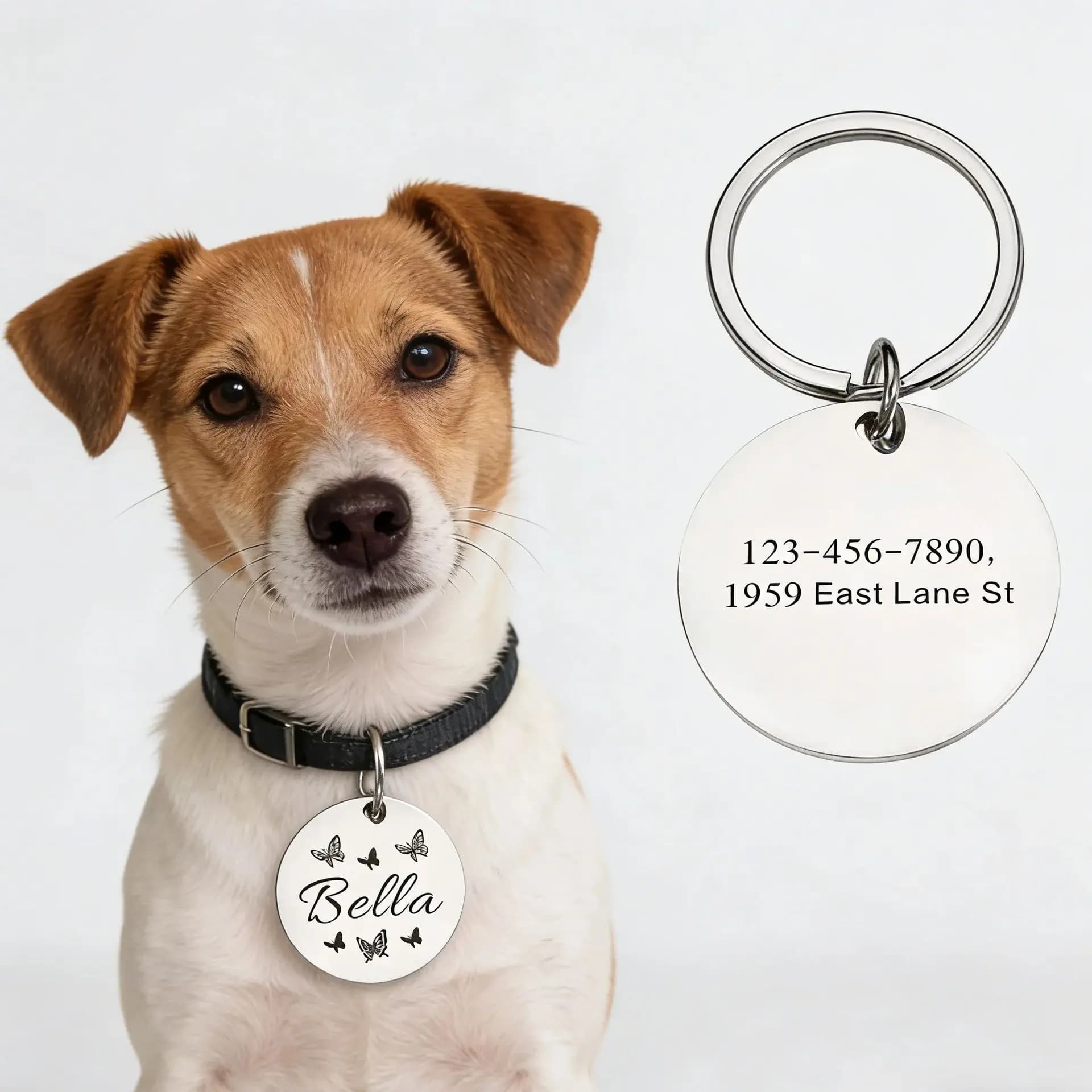 Targhetta personalizzata per cani, collari rotondi in acciaio inossidabile per cani e gatti con testo e numeri incisi, targhette identificative, nomi, numero di telefono