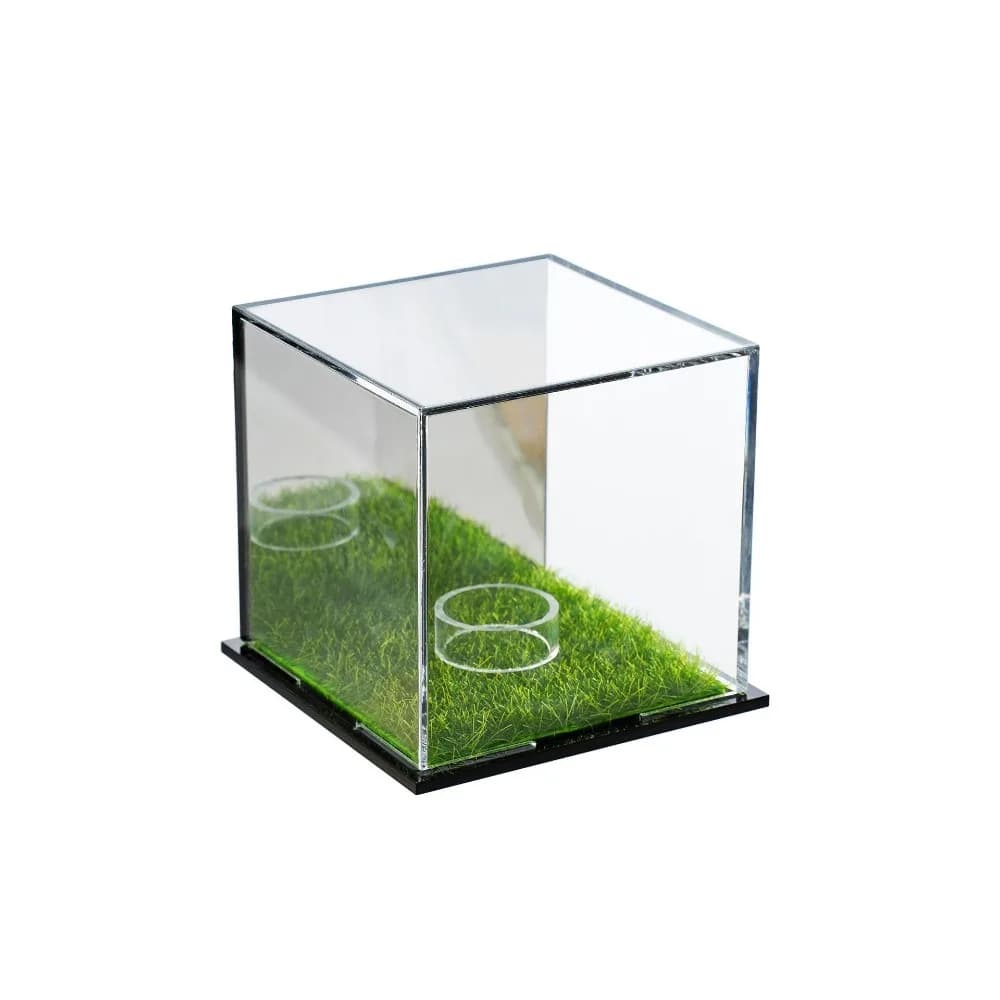 Transparent Golf Ball Display Case Lawn Design Dust Protection Holder Stand Golf Ball Smooth Surface Clear Square