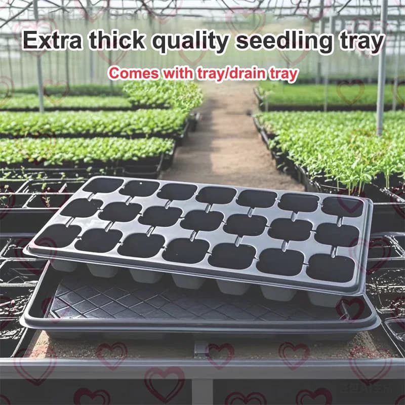 Semi Germination Trays, Pack of 10, Black Plastic, Perfect Garden Accessories for Flowers and Vegetables