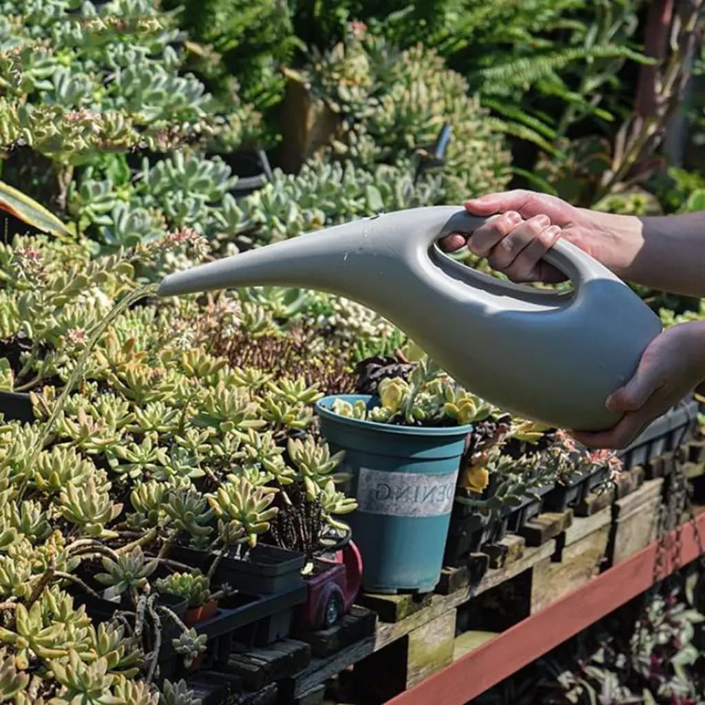 Annaffiatoio Grande per Piante da Interno e Bonsai con Beccuccio Lungo, per Piante Grasse e Decorazioni da Giardino, 0,5L / 2,5L