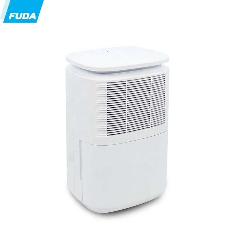 Deumidificatore mobile con compressore per uso domestico mini piccolo da 10 l/giorno di vendita calda popolare
