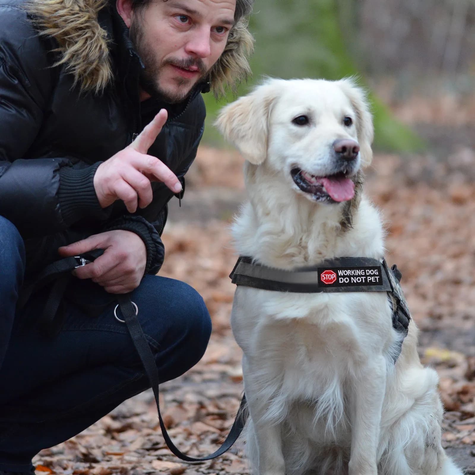 2 Pezzi Patch Ricamate alla Moda per Pettorina Cane, Identificatore Animale da Servizio, Patch 'Non Accarezzare', Facile da Applicare, Materiale Morbido e Confortevole