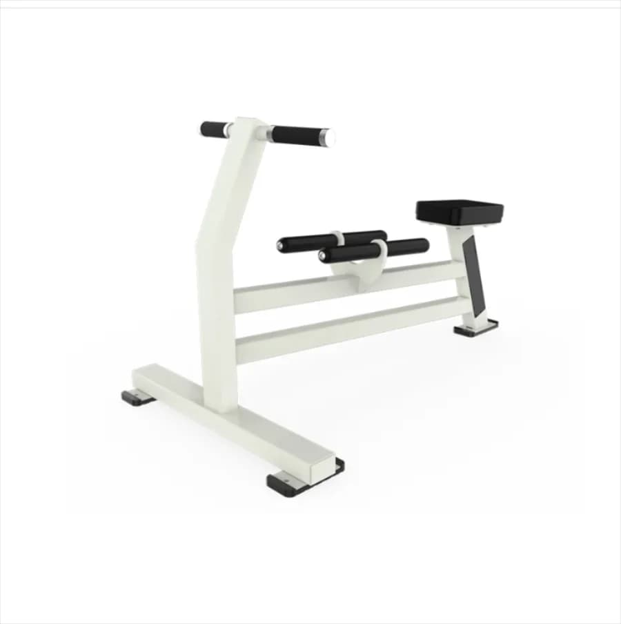 Gym strength training bench, body building, free weight plate, dumbbell/lain Kickback