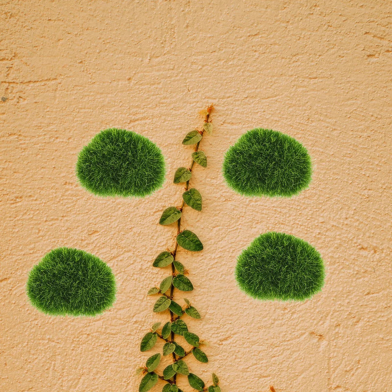 8 pezzi di pietre finte in finto muschio, sfere decorative artificiali per micro paesaggi, bonsai, piante, sfondi murali e artigianato
