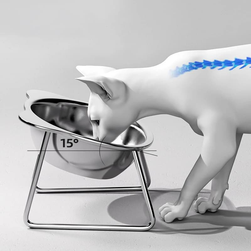 Ciotola per alimenti in acciaio inossidabile 304 infrangibile rialzata 15 ° Forniture per animali domestici per cuccioli di gatto Ciotole per gatti rialzate Protezione per il collo inclinata per gatti