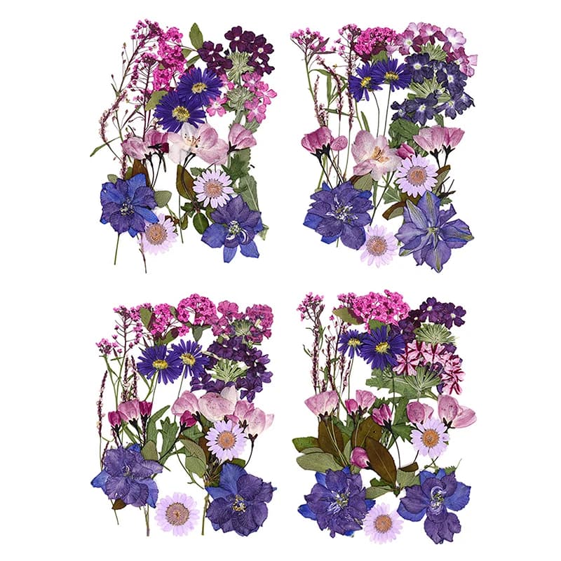 Dry Flowers Real Natural Plant Pressed Flower for Epoxy Resin DIY Filling Nail Art Crafts Creation of handcrafted jewelry
