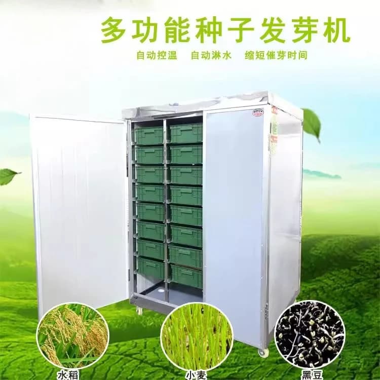 Macchina per la germinazione del riso Macchina per la germinazione dei cereali dei semi di fiori Macchina per la germinazione dei materiali medicinali Produttore Germina dei semi