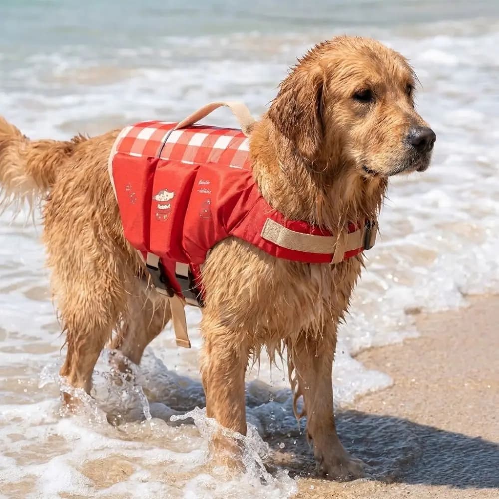 Waterproof Dog Life Jacket Breathable High Buoyancy Pet Life Vest Adjustable Thick Sponge Pad Dog Swimming Suit Swimming