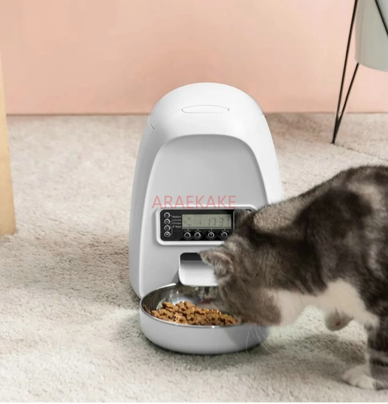 Mangiatoia per gatti temporizzata, mangiatoia automatica, distributore automatico di cibo per animali domestici con timer, adatto per gatti e cani, mangiatoia per cani temporizzata