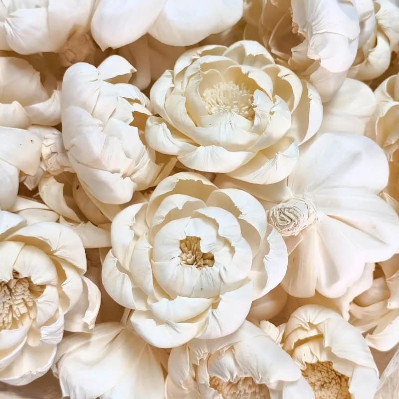 36 pezzi Sola fiori di peonia in legno da 3,2 pollici con bastoncini in rattan in fibra nera da 7,8 pollici per diffusore di ance fai da te decorazioni per la casa moderne accessori