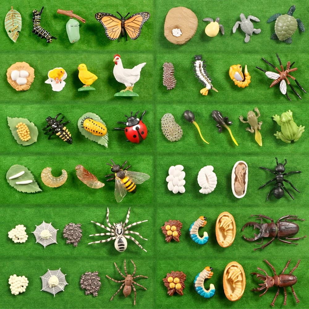 Nuovo Ciclo di Vita Animale Bordo Giocattoli Per Bambini Sussidi Didattici Montessori Pianta Ciclo di Crescita Animale Modello Set Giocattoli Cognitivi Prescolare