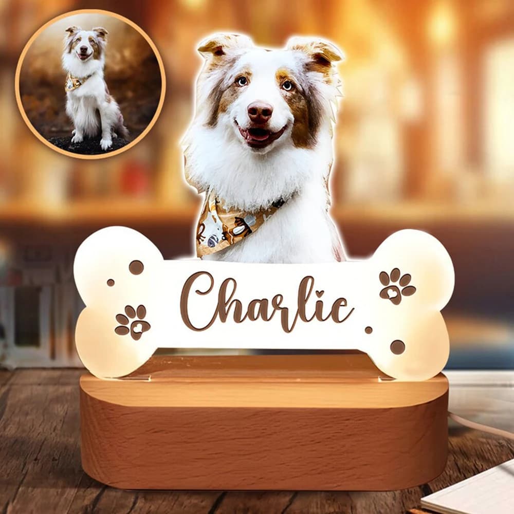 Luce Notturna in Acrilico per Conservare la Memoria del Tuo Animale Domestico con Foto Personalizzata, Preserva i Preziosi Momenti di Accompagnamento con il Tuo Animale, Decorazione Luminosa Calda