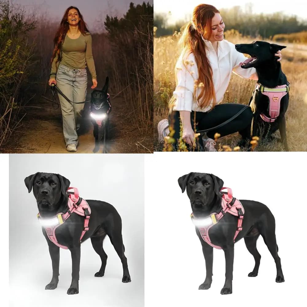 Pettorina per cani a LED illuminata per una sicurezza notturna migliorata - Gilet rosa riflettente da 1000 lumen, ricaricabile, regolabile (grande)
