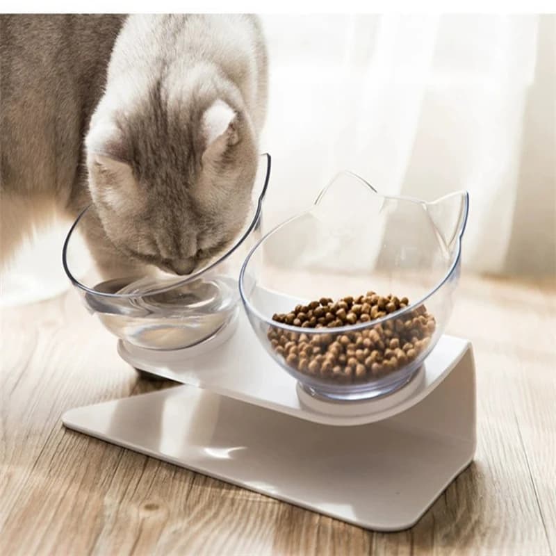 Due ciotole In una ciotola per animali domestici ciotola per gatti inclinazione diagonale protegge le vertebre cervicali contro il disordine ciotola per cibo per gatti fissa ciotola per cibo per cani