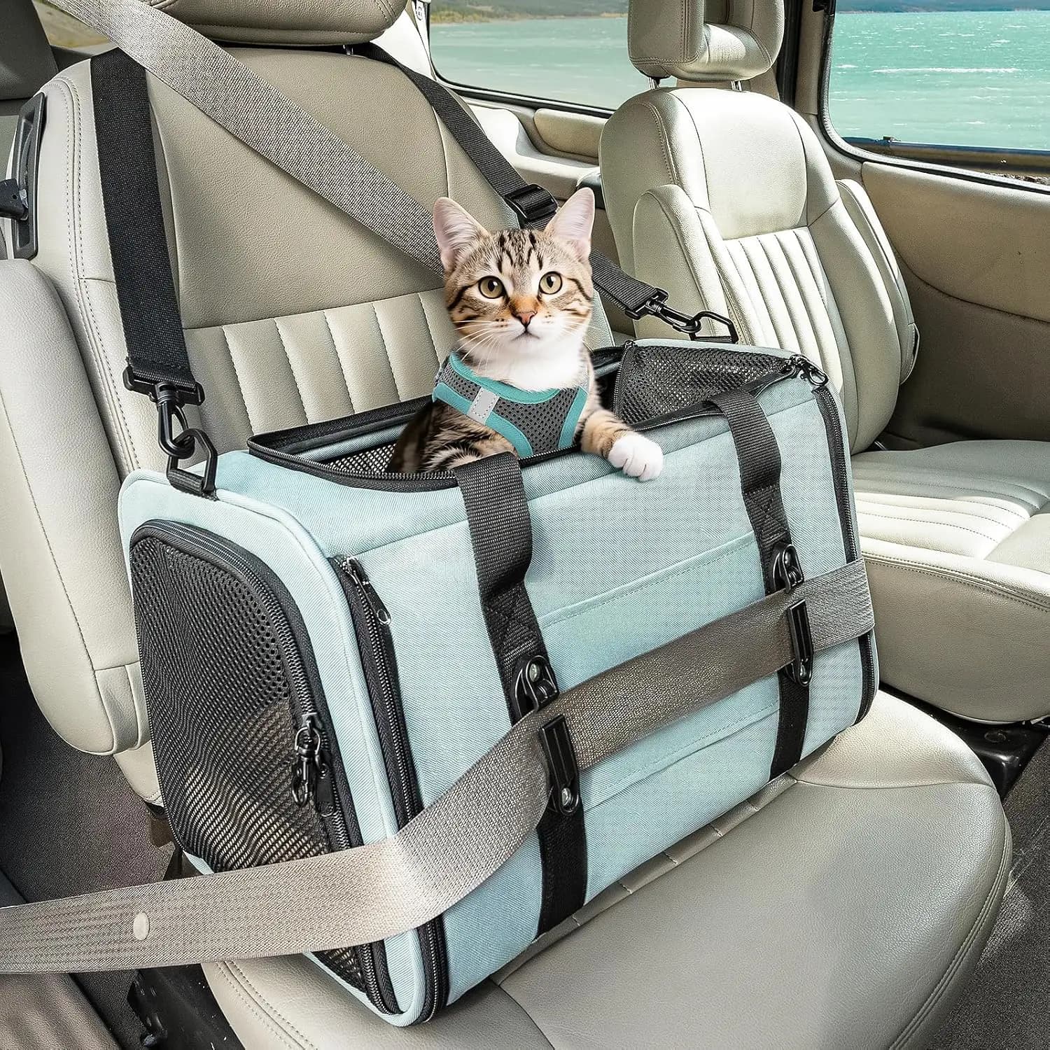 Trasportino morbido per gatti con ancoraggio per cintura di sicurezza, cerniere bloccabili, cinturino di sicurezza, approvato per il trasporto aereo sotto il sedile, per animali fino a 5,4 kg