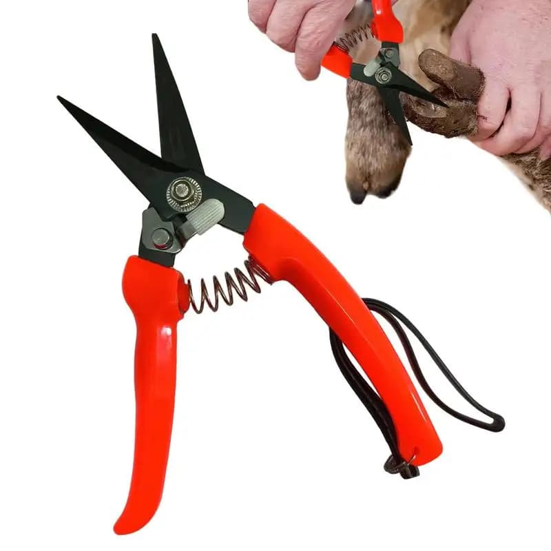 Cut sheep's cloves Plant for shrubs Flower pruning shears Garden shears Hoof scissors Alpaca Agnello Maiale Tagliaunghie