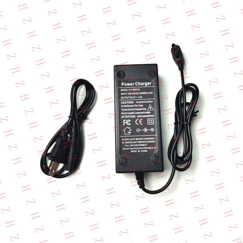 Alimentatore AC P+ 58.8V per Segway Ninebot Z10