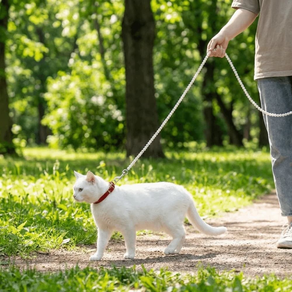 Guinzaglio per Cani Resistente ai Morsi con Perle, Anti-Fuga, in Perle Artificiali, Impermeabile, Tinta Unita, Corda da Addestramento per Animali Domestici