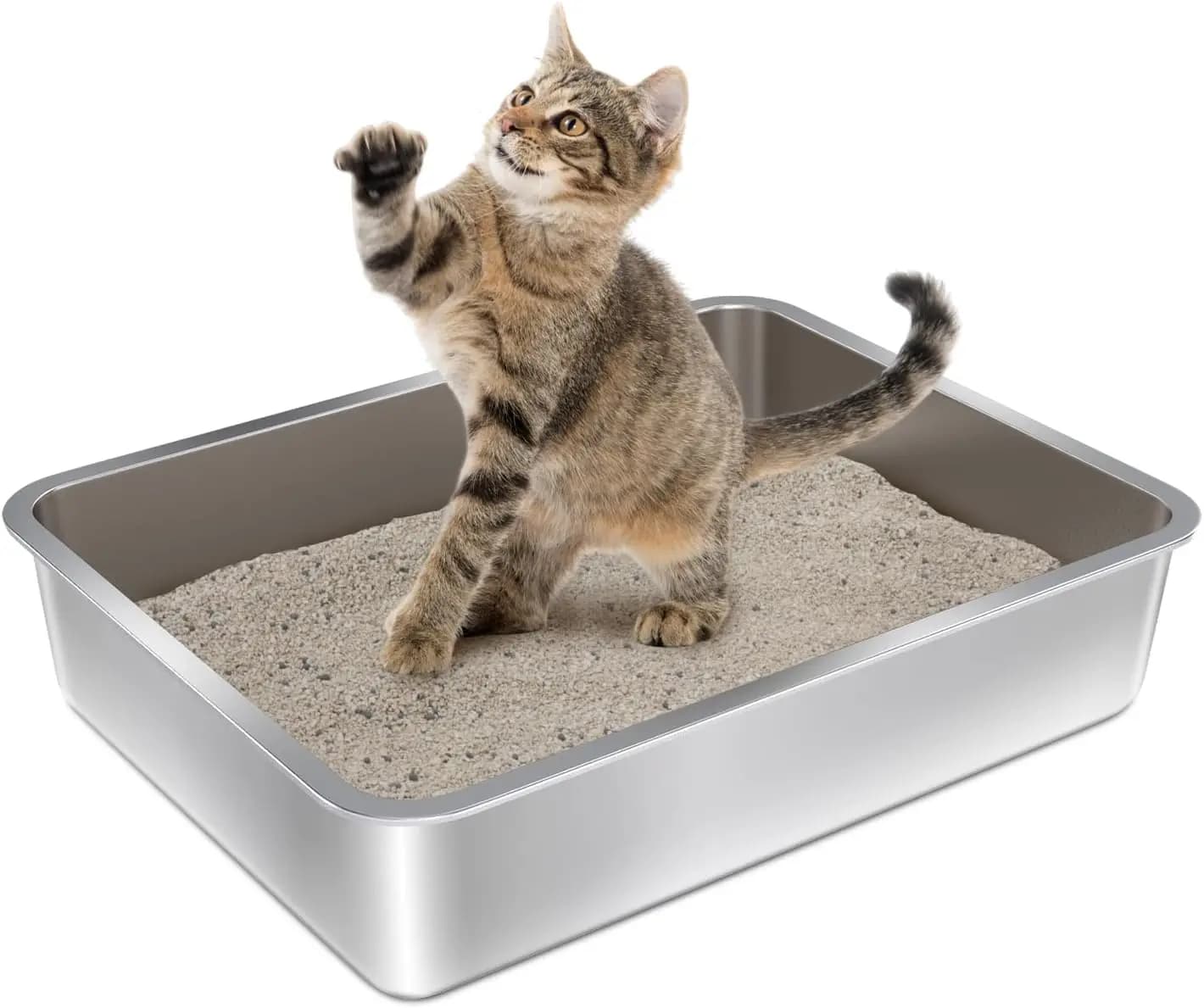 Lettiera per gatti in acciaio inossidabile 45 cm x 35 cm x 10 cm - Antiaderente, facile da pulire, ingresso basso per gattini e animali di piccola taglia