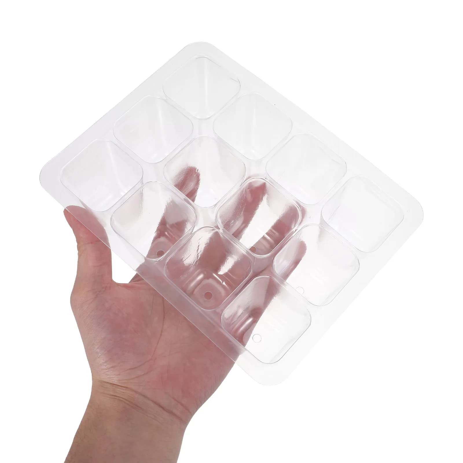 30 Vassoi in Plastica Trasparente per Semina, Vassoi per Germinazione con Fori di Drenaggio, Vassoi per Coltivazione Indoor, per Fiori e Semi di Verdure