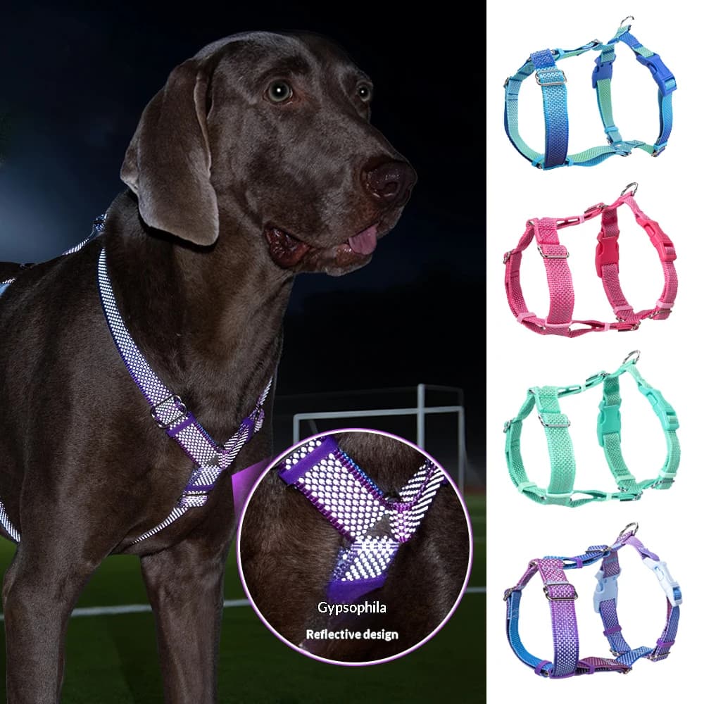 H-Style Reflective Dog Harness and Leash Set, No-Pull Padded Vest for Walking, Comfortable Double-Sided Nylon Harness