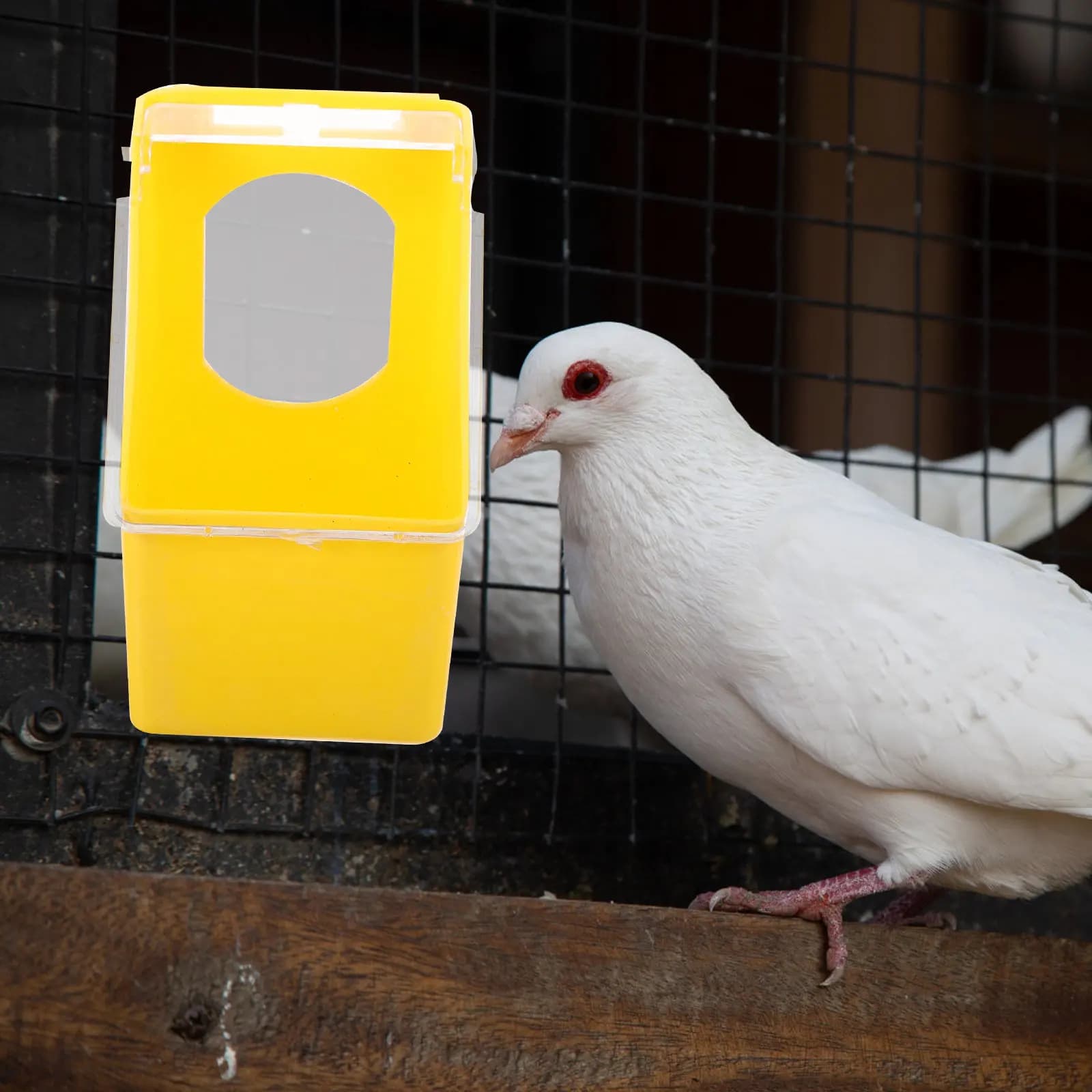 2Pcs Chic Simple Hanging Feeder for Pigeon Parrot Cage Food Container Pendant Wear Resistant Sturdy Bird Feeding Bowl
