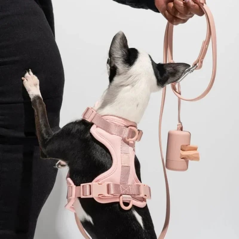 Dispenser portatile per sacchetti di rifiuti per cani da 1 pezzo, mini organizer per sacchetti di immondizia per la pulizia degli animali domestici, forniture per la cucina di casa