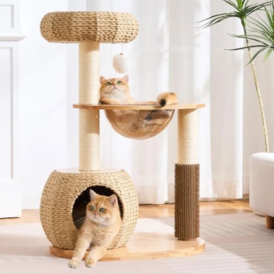 Albero per Gatti in Legno Naturale per Gatti da Interno, Grande per Adulti, 96 cm di Altezza, con Tiragraffi, Cuccia e Grotta in Vimini Fatta a Mano