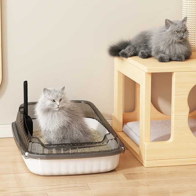 Lettiera per gatti Semi-chiusa aperta a prova di spruzzi Bacino per escrementi di gatti Toilette per gatti Grande vasino per gattini per gatti addensato
