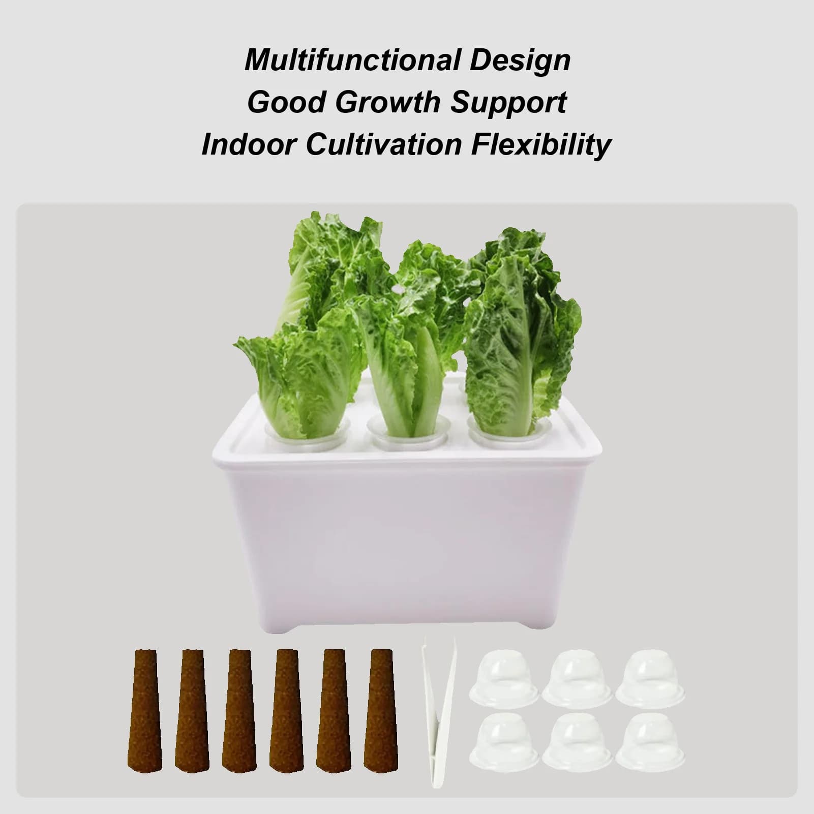 Trays for sowing Propagator for greenhouse Covering Flowers Vegetable Trays for growing plants Trays for flowers Vegetables Interior Dormitory