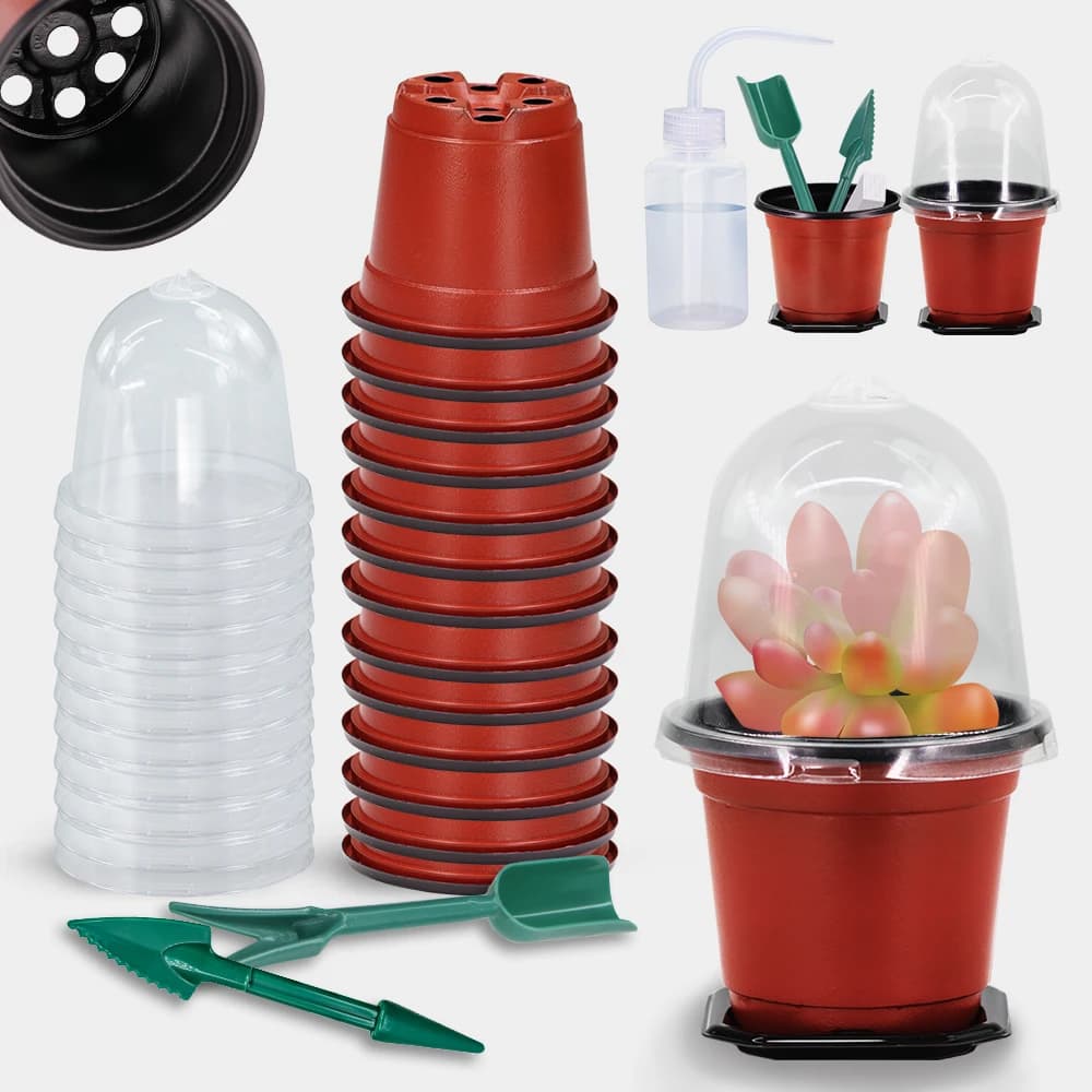 160x90mm Garden Nursery Seedling Cup Kit con coperchio trasparente vaso di partenza per semi di piante contenitore per invasatura di fiori piantagione interna