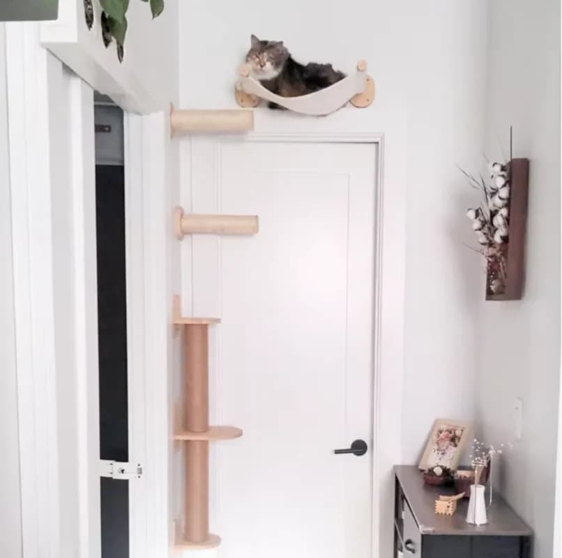Cat Wall Climbing Shelf Steps Ladder Scratching Post Scratcher Bed Hiding House for Cats Tree Tower Pet Furniture Accessories