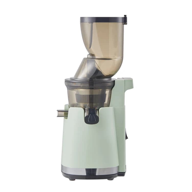 Estrattore di Succo Elettrico a Freddo in Acciaio Inossidabile e Plastica con Funzione Inversa, Spremiagrumi a Masticazione per Uso Domestico