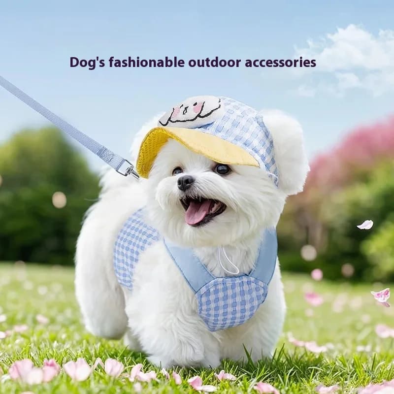 Cappello da gatto per cani da compagnia Primavera/Estate Gita Cappello parasole Simpatico gilet con cinturino pettorale Set di imbracatura e guinzaglio per cani Accessori per cuccioli