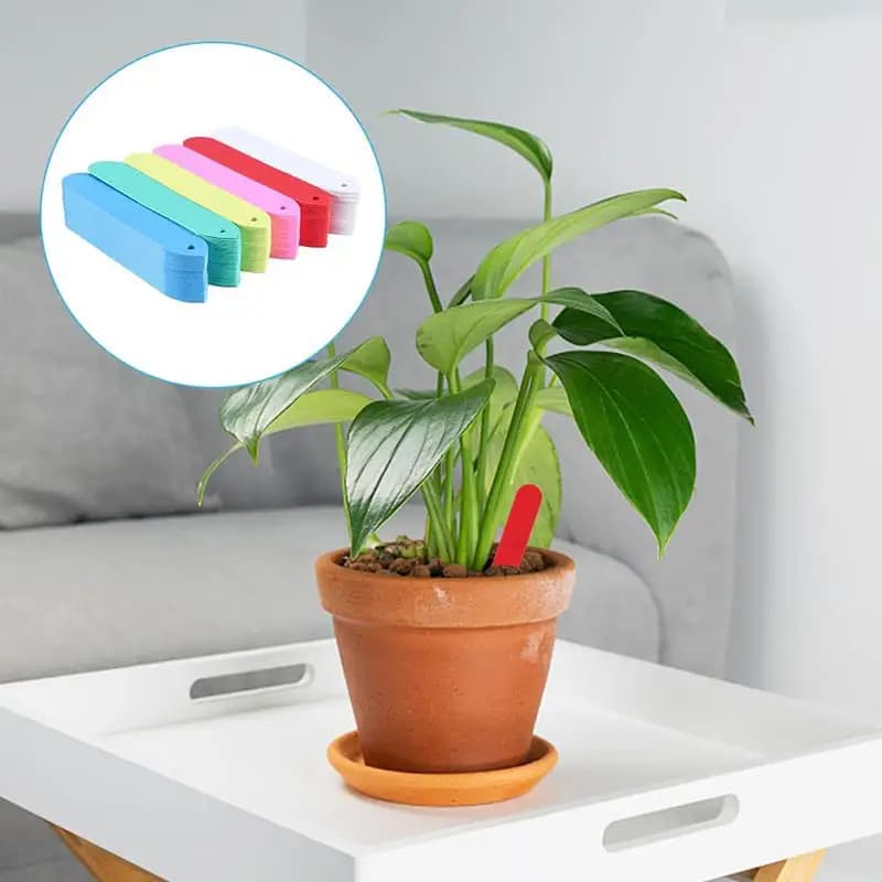100 Etichette da Giardino Riutilizzabili Impermeabili per Piante ​ Etichette Monocolore per Piante, Fiori, Verdure e Vasi