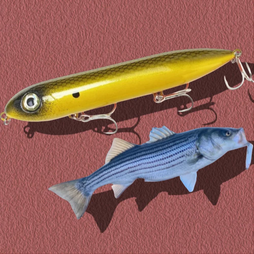 Artificial Baits 2025 100mm 11g Topwater Fishing Lures Wobblers Asturies Walk The Dog For Saltwater Pike Bass Heddon Super Spook