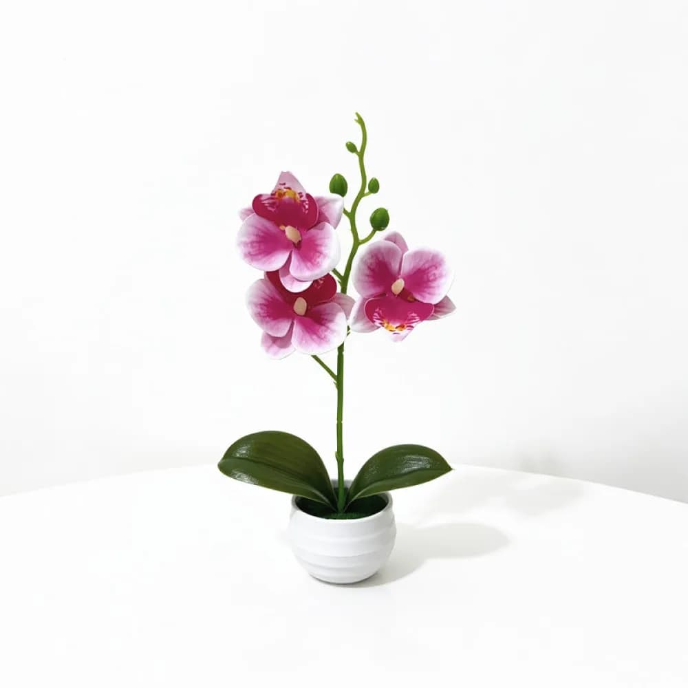 Simulation Phalaenopsis Potted Plant Artificial Bonsai Flower Home Office Desktop Decoration Realistic Decorative Ornament