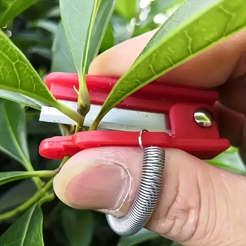 Gardening scissors for thumb and finger 1 piece - Ergonomic tool for cutting green plants with sharp blades for precise pruning of vegetables