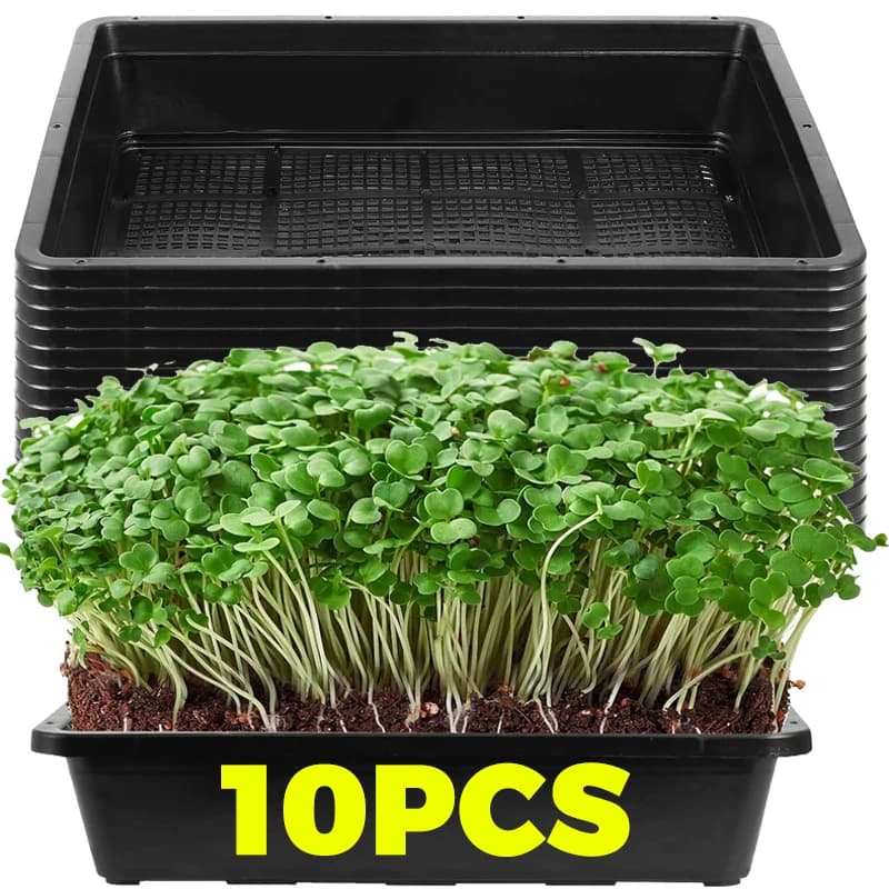 Mesh Trays Black Seed Sprouting Trays Mesh Bottom Vegetables Flowers Growing Tray Greenhouse Garden Seedling Plant Grow Basket