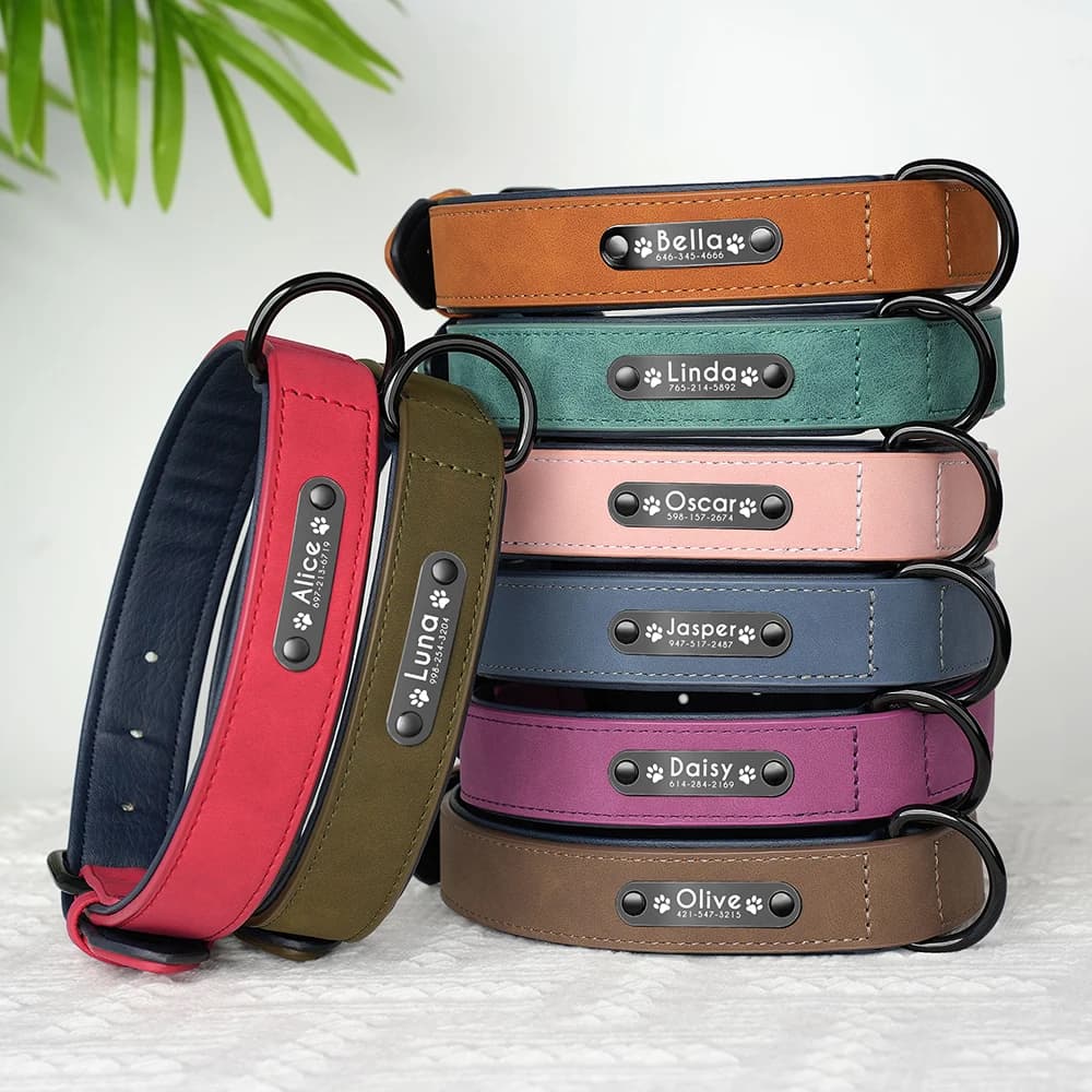 Collare per Cani Personalizzato in Pelle PU con Targhetta ID Anti-smarrimento per Cani Piccoli Medi e Grandi Pitbull Bulldog Beagle