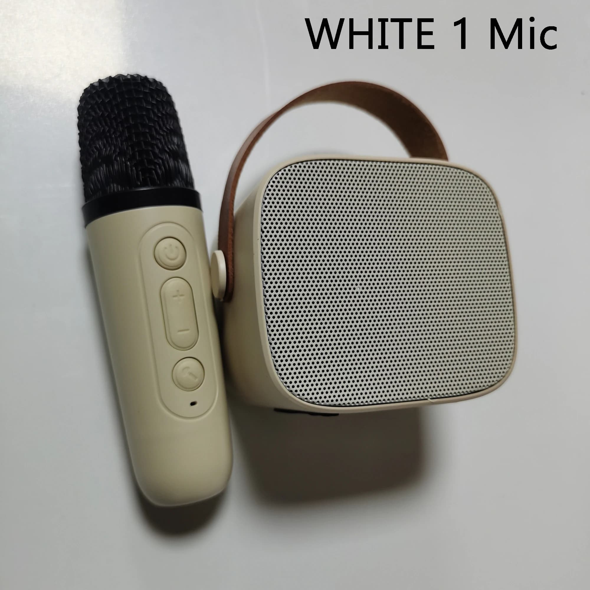 Karaoke Altoparlante Bluetooth wireless portatile con microfono Macchina Caixa De Som Mini Sound Box Musica Piccola colonna Bocina Coluna