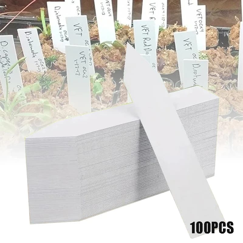 100 pezzi Etichette per piante da giardino Accessori per piante Vasi da fiori Etichette per piante Marcatori per vivaio Etichetta Vassoio Mark Strumento fai da te