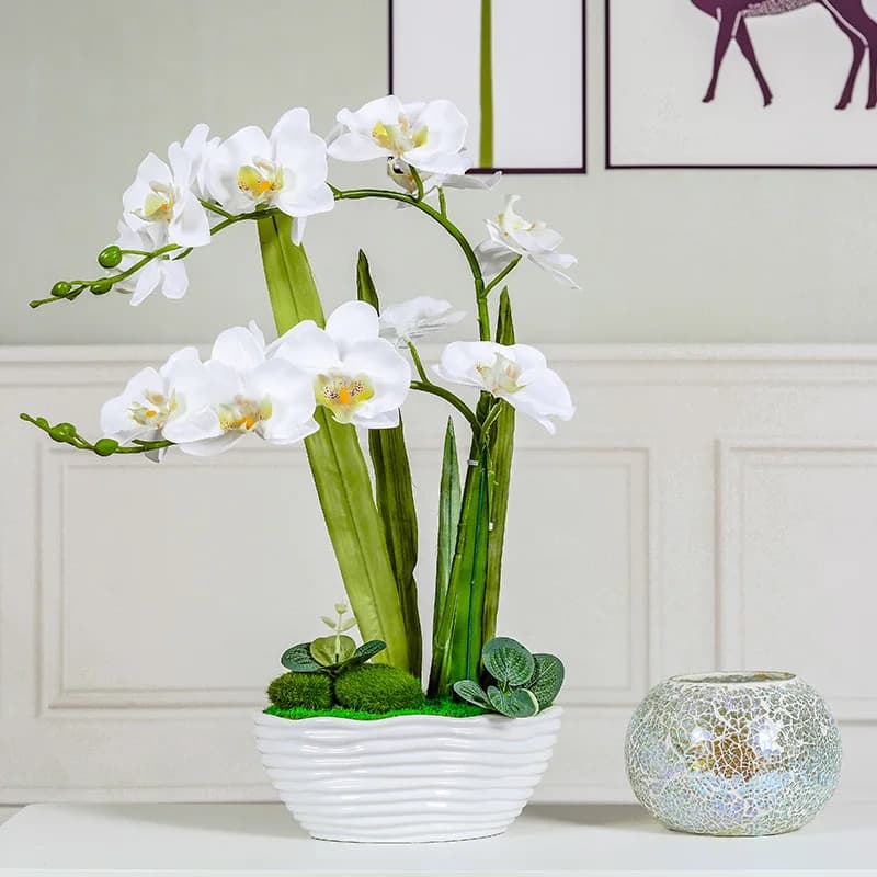 Phalaenopsis Artificial Flower Dress Creative Silk Flower Ceramic Vase Crafted Floral Decoration Artificial Flower Pot Plant