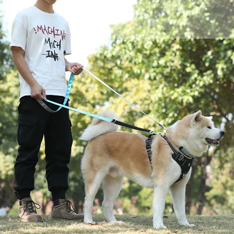 Guinzaglio per cani guinzaglio per cani a mani libere 2.5M guinzagli doppi multifunzionali lunghi per cani Walking guinzagli in Nylon corda per cani prodotti per animali domestici